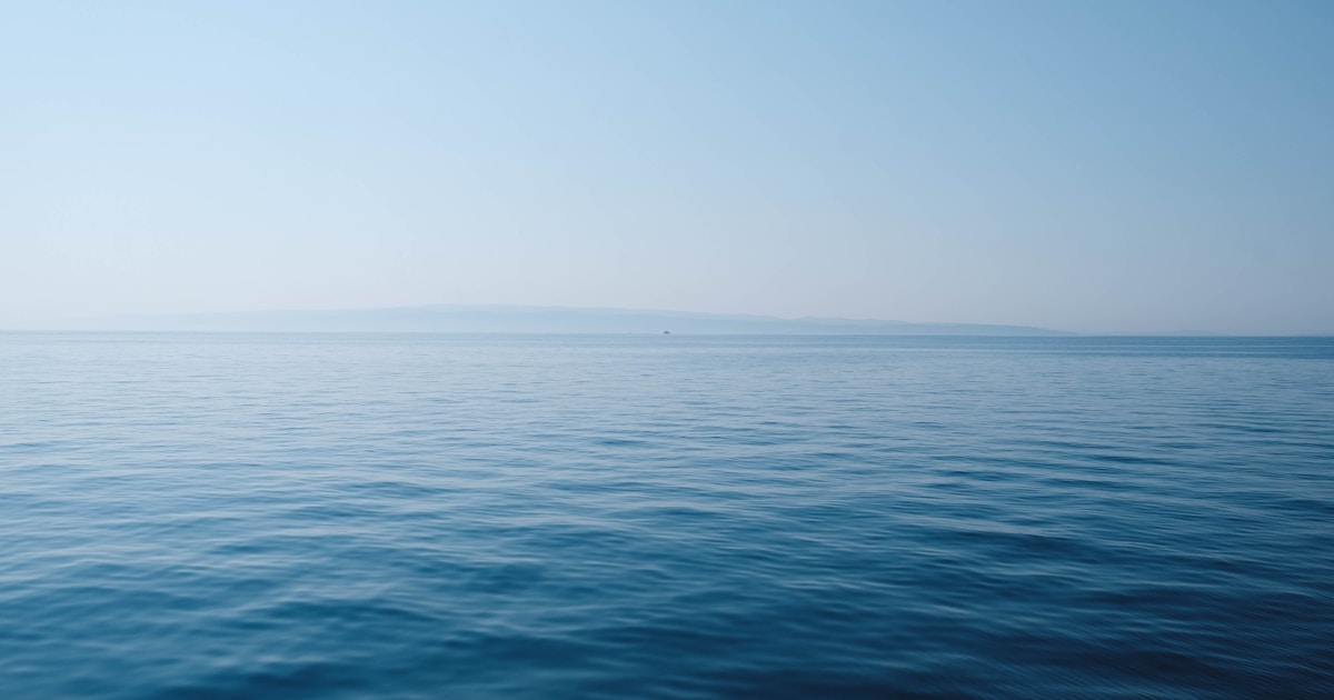 The Bycatch Crisis in the Bering Sea